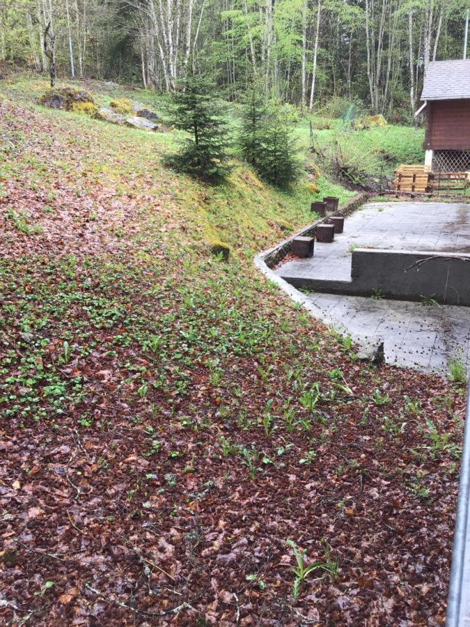 Le Refuge Apparts Et 1Chalets A Samoens 74 Buitenkant foto